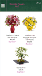 Mobile Screenshot of domnitzflowers.com